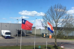 Lysozyme HCl EUGMP main supplier Holland